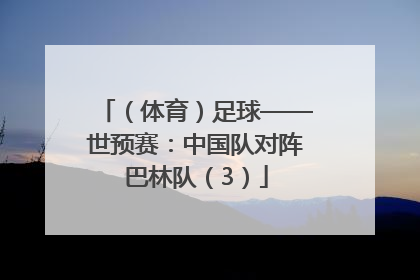 （体育）足球——世预赛：中国队对阵巴林队（3）