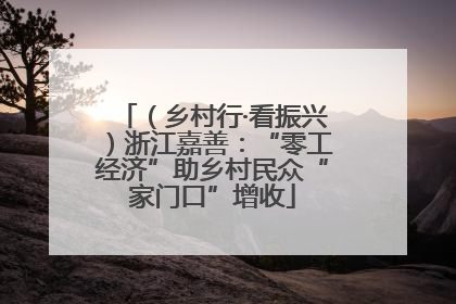 （乡村行·看振兴）浙江嘉善：“零工经济”助乡村民众“家门口”增收
