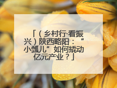 （乡村行·看振兴）陕西略阳：“小瓢儿”如何撬动亿元产业？
