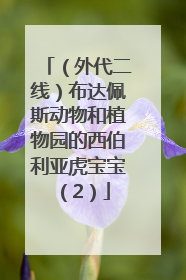 （外代二线）布达佩斯动物和植物园的西伯利亚虎宝宝（2）