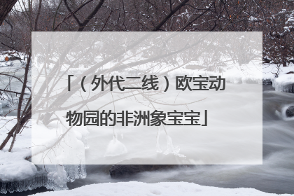（外代二线）欧宝动物园的非洲象宝宝