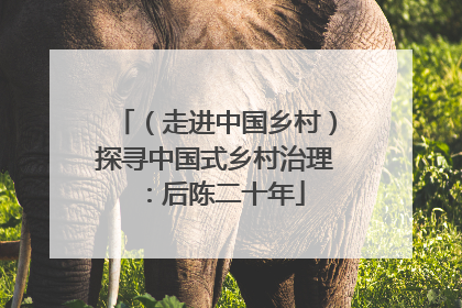 （走进中国乡村）探寻中国式乡村治理：后陈二十年
