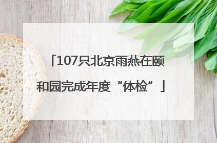 107只北京雨燕在颐和园完成年度“体检”