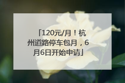 120元/月！杭州道路停车包月，6月6日开始申请