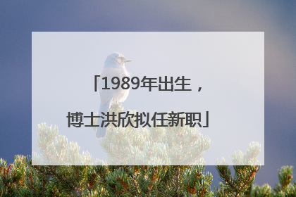 1989年出生，博士洪欣拟任新职