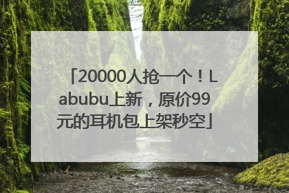 20000人抢一个！Labubu上新，原价99元的耳机包上架秒空