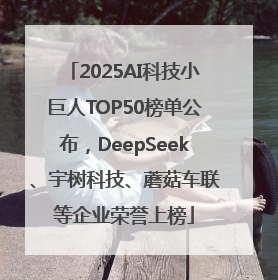 2025AI科技小巨人TOP50榜单公布，DeepSeek、宇树科技、蘑菇车联等企业荣誉上榜