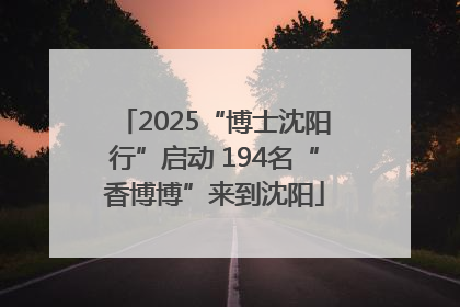 2025“博士沈阳行”启动 194名“香博博”来到沈阳