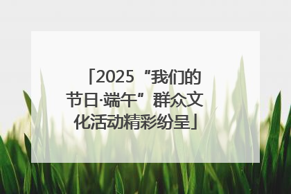 2025“我们的节日·端午”群众文化活动精彩纷呈