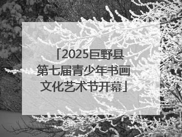 2025巨野县第七届青少年书画文化艺术节开幕