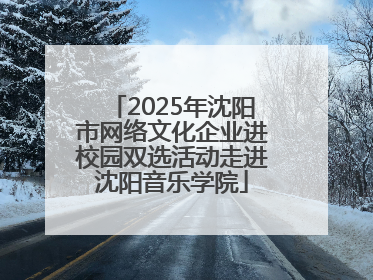 2025年沈阳市网络文化企业进校园双选活动走进沈阳音乐学院