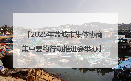 2025年盐城市集体协商集中要约行动推进会举办