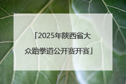 2025年陕西省大众跆拳道公开赛开赛