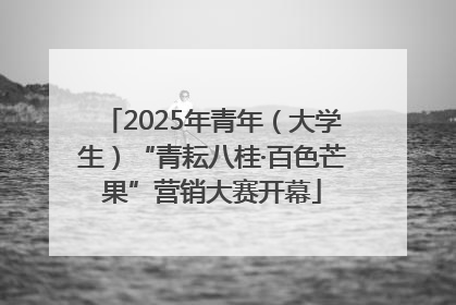 2025年青年（大学生）“青耘八桂·百色芒果”营销大赛开幕