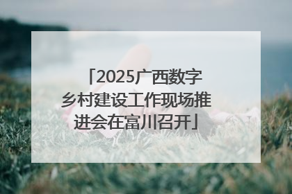 2025广西数字乡村建设工作现场推进会在富川召开