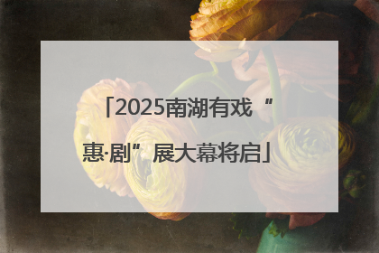 2025南湖有戏“惠·剧”展大幕将启