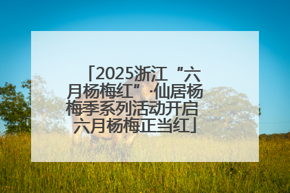 2025浙江“六月杨梅红”·仙居杨梅季系列活动开启 六月杨梅正当红