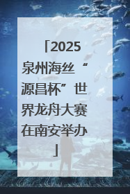 2025泉州海丝“源昌杯”世界龙舟大赛在南安举办
