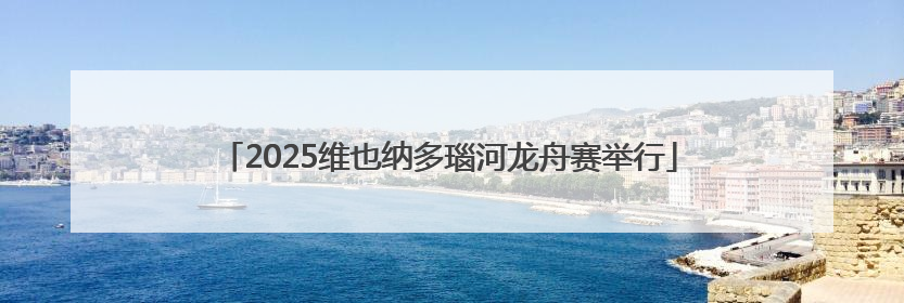 2025维也纳多瑙河龙舟赛举行
