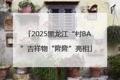 2025黑龙江“村BA”吉祥物“隆隆”亮相