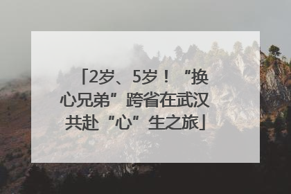 2岁、5岁！“换心兄弟”跨省在武汉共赴“心”生之旅