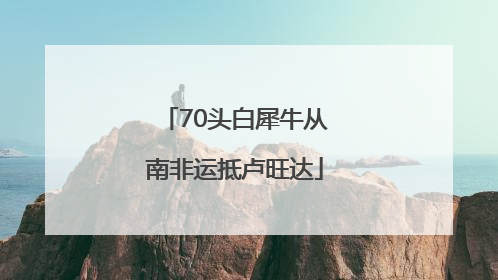 70头白犀牛从南非运抵卢旺达