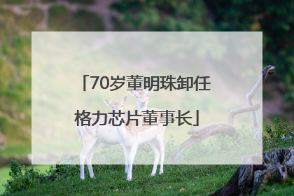 70岁董明珠卸任格力芯片董事长