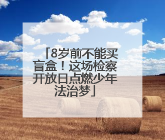8岁前不能买盲盒！这场检察开放日点燃少年法治梦