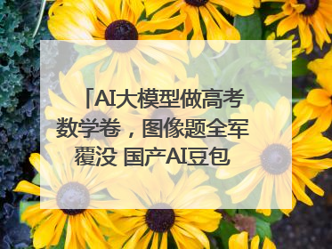 AI大模型做高考数学卷，图像题全军覆没 国产AI豆包和DeepSeek均得分144