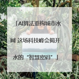 AI算法重构城市水网 这场科技峰会揭开水的“智慧密码”