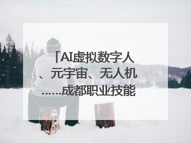 AI虚拟数字人、元宇宙、无人机……成都职业技能大赛启动