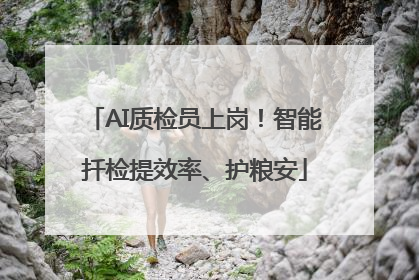 AI质检员上岗！智能扦检提效率、护粮安
