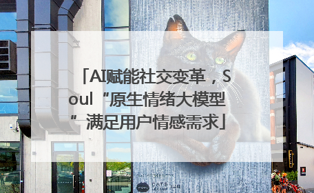 AI赋能社交变革，Soul“原生情绪大模型”满足用户情感需求