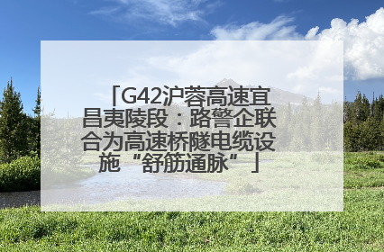 G42沪蓉高速宜昌夷陵段：路警企联合为高速桥隧电缆设施“舒筋通脉”
