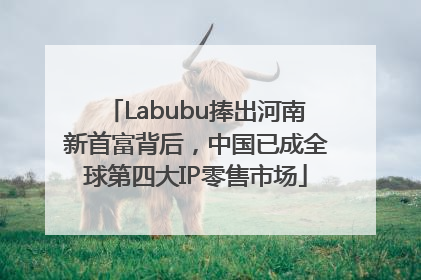 Labubu捧出河南新首富背后，中国已成全球第四大IP零售市场