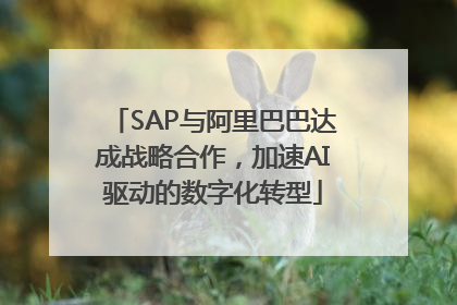 SAP与阿里巴巴达成战略合作，加速AI驱动的数字化转型