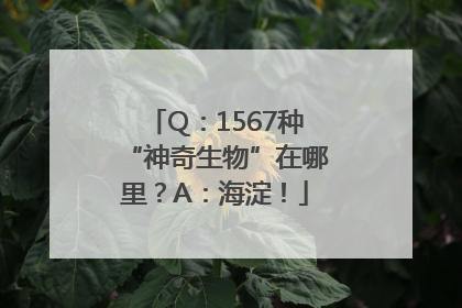 Q：1567种“神奇生物”在哪里？A：海淀！