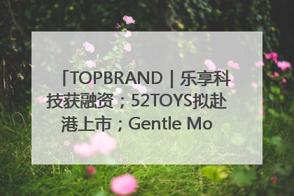 TOPBRAND｜乐享科技获融资；52TOYS拟赴港上市；Gentle Monster合作谷歌；Valentino传播官离职